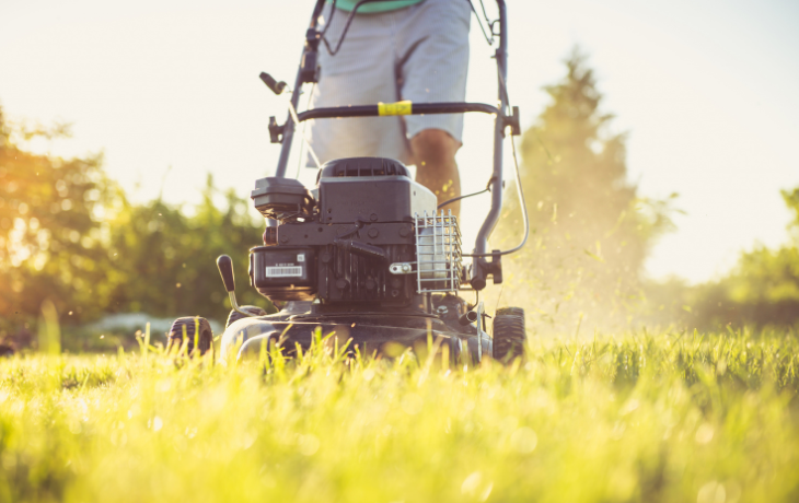 Greenworks Clean, Quiet, and Surprisingly Smart
